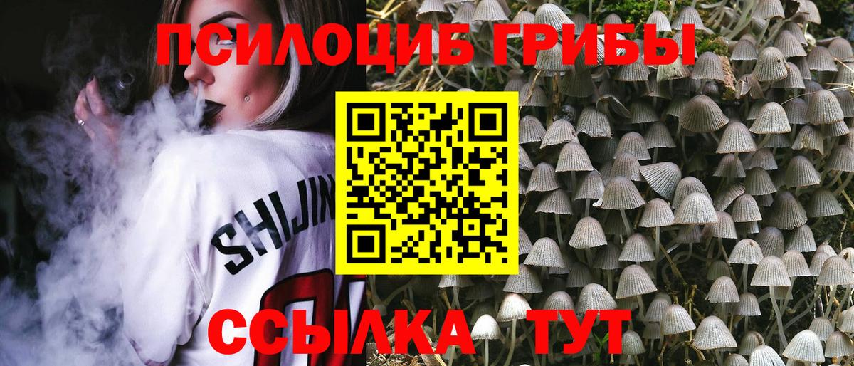 Симферополь  Псилоцибиновые грибы прущие грибы  цена   Вход с VPN  Псилоцибиновые грибы ЛСД 